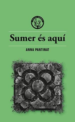 SUMER ÉS AQUÍ | 9791399014686 | PANTINAT, ANNA | Llibreria Aqualata | Comprar llibres en català i castellà online | Comprar llibres Igualada