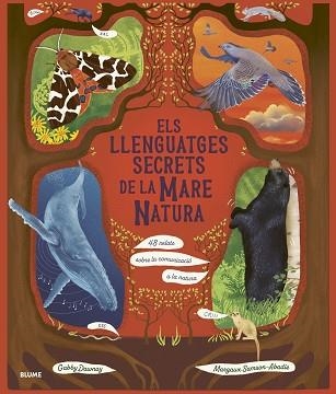 LLENGUATGES SECRETS DE LA MARE NATURA, ELS | 9788410469952 | DAWNAY, GABBY / SAMSON ABADIE, MARGAUX | Llibreria Aqualata | Comprar llibres en català i castellà online | Comprar llibres Igualada