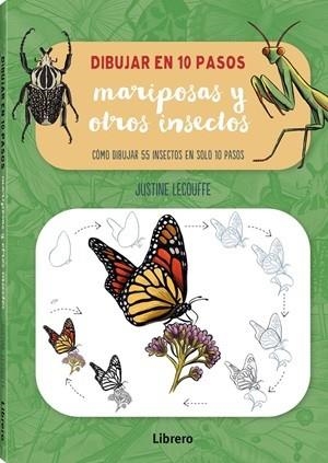 DIBUJAR MARIPOSAS Y OTROS INSECTOS EN 10 PASOS | 9789464991574 | LECOUFFE, JUSTINE | Llibreria Aqualata | Comprar llibres en català i castellà online | Comprar llibres Igualada