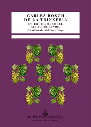 HEREU NORADELL, L' | 9788416726615 | BOSCH DE LA TRINXERIA, CARLES | Llibreria Aqualata | Comprar llibres en català i castellà online | Comprar llibres Igualada