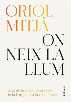 ON NEIX LA LLUM | 9788466434751 | MITJÀ, ORIOL | Llibreria Aqualata | Comprar llibres en català i castellà online | Comprar llibres Igualada