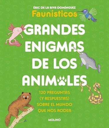 GRANDES ENIGMAS DE LOS ANIMALES (COLECCIÓN GRANDES ENIGMAS) | 9788427253698 | DE LA RIVA DOMÍNGUEZ (FAUNÍSTICOS), ÉRIC | Llibreria Aqualata | Comprar libros en catalán y castellano online | Comprar libros Igualada
