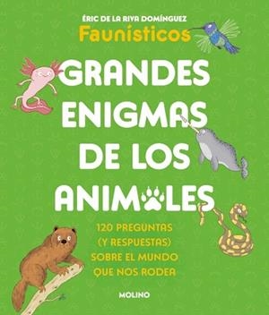 GRANDES ENIGMAS DE LOS ANIMALES (COLECCIÓN GRANDES ENIGMAS) | 9788427253698 | DE LA RIVA DOMÍNGUEZ (FAUNÍSTICOS), ÉRIC | Llibreria Aqualata | Comprar libros en catalán y castellano online | Comprar libros Igualada