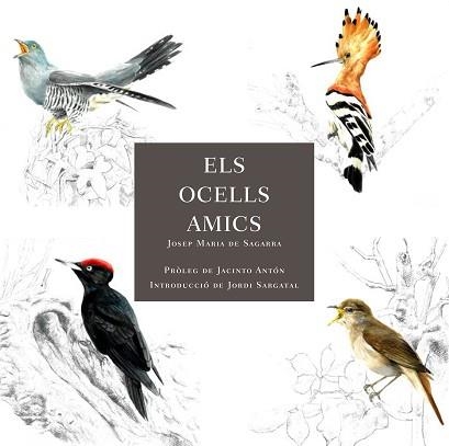 OCELLS AMICS, ELS | 9788412949025 | DE SAGARRA, JOSEP MARIA | Llibreria Aqualata | Comprar libros en catalán y castellano online | Comprar libros Igualada