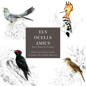 OCELLS AMICS, ELS | 9788412949025 | DE SAGARRA, JOSEP MARIA | Llibreria Aqualata | Comprar libros en catalán y castellano online | Comprar libros Igualada