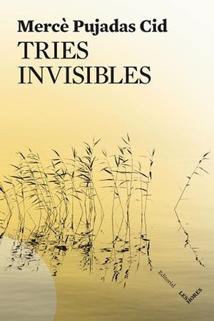 TRIES INVISIBLES | 9791399072150 | PUJADAS CID, MERCÈ | Llibreria Aqualata | Comprar llibres en català i castellà online | Comprar llibres Igualada