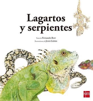 LAGARTOS Y SERPIENTES | 9788467573947 | BORT MISOL, FERNANDO | Llibreria Aqualata | Comprar llibres en català i castellà online | Comprar llibres Igualada