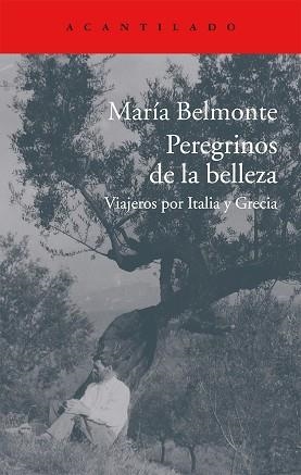 PEREGRINOS DE LA BELLEZA | 9788416011513 | BELMONTE BARRENECHEA, MARÍA | Llibreria Aqualata | Comprar llibres en català i castellà online | Comprar llibres Igualada