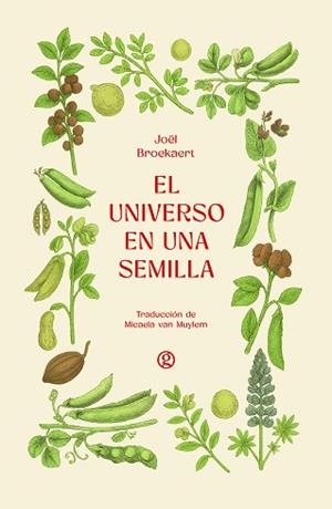 UNIVERSO EN UNA SEMILLA, EL | 9788419990839 | BROEKAERT, JOËL | Llibreria Aqualata | Comprar llibres en català i castellà online | Comprar llibres Igualada