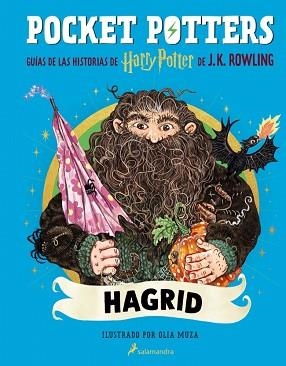 POCKET POTTERS - HAGRID | 9788419868862 | ROWLING, J.K. | Llibreria Aqualata | Comprar llibres en català i castellà online | Comprar llibres Igualada