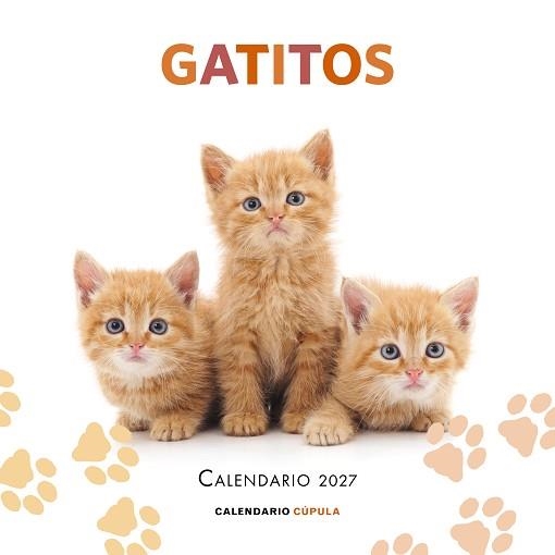 CALENDARIO GATITOS 2027 | 9788448049300 | AA. VV. | Llibreria Aqualata | Comprar llibres en català i castellà online | Comprar llibres Igualada