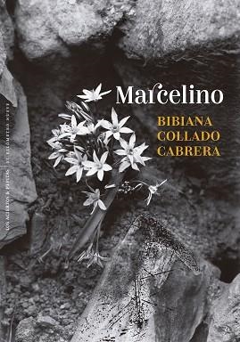 MARCELINO | 9788410476431 | COLLADO CABRERA, BIBIANA | Llibreria Aqualata | Comprar llibres en català i castellà online | Comprar llibres Igualada