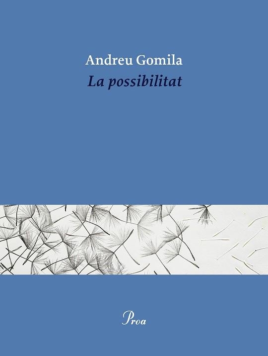 POSSIBILITAT, LA | 9791388369155 | GOMILA, ANDREU | Llibreria Aqualata | Comprar llibres en català i castellà online | Comprar llibres Igualada