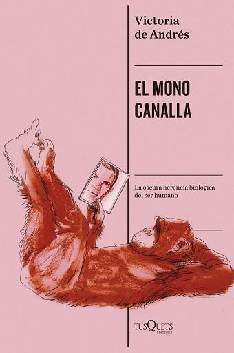 MONO CANALLA, EL | 9788411078351 | ANDRÉS, VICTORIA DE | Llibreria Aqualata | Comprar llibres en català i castellà online | Comprar llibres Igualada
