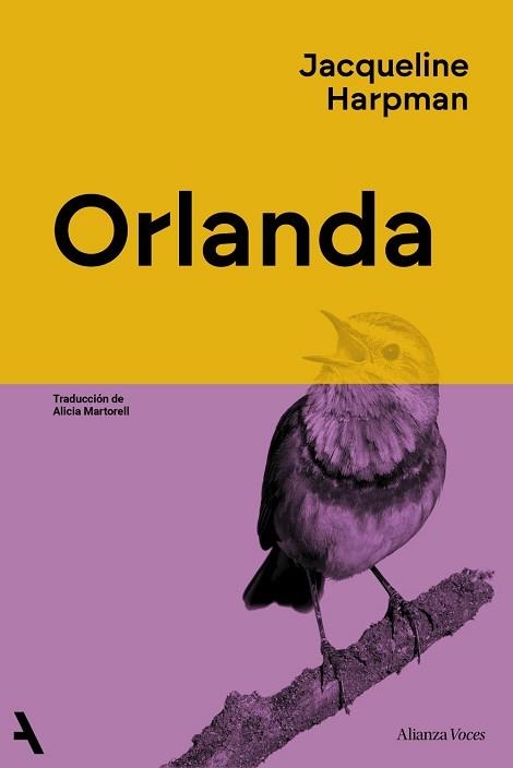 ORLANDA | 9791370093020 | HARPMAN, JACQUELINE | Llibreria Aqualata | Comprar llibres en català i castellà online | Comprar llibres Igualada