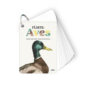 FÍJATE: AVES | 9788410407633 | SANJUAN LLORENS, ANNA / BAUCELLS COLOMER, RAMON | Llibreria Aqualata | Comprar llibres en català i castellà online | Comprar llibres Igualada