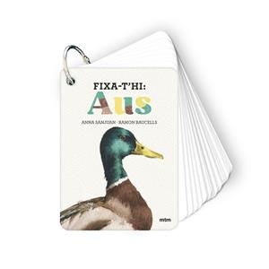 FIXA-T'HI: AUS | 9788410407640 | SANJUAN LLORENS, ANNA / BAUCELLS COLOMER, RAMON | Llibreria Aqualata | Comprar llibres en català i castellà online | Comprar llibres Igualada