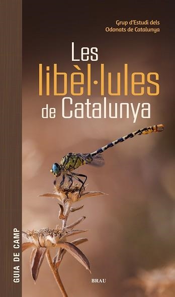 LIBÈL·LULES DE CATALUNYA, LES | 9791387701178 | GRUP D'ESTUDIS DELS ODONATS DE CATALUNYA | Llibreria Aqualata | Comprar llibres en català i castellà online | Comprar llibres Igualada
