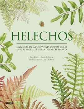 HELECHOS | 9791388023637 | LI, FAY-WE/SUISSA, JACOB S. / SILBURN, LAURA | Llibreria Aqualata | Comprar libros en catalán y castellano online | Comprar libros Igualada