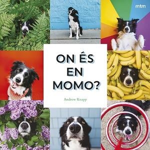 ON ÉS EN MOMO? | 9788410407893 | KNAPP, ANDREW | Llibreria Aqualata | Comprar llibres en català i castellà online | Comprar llibres Igualada