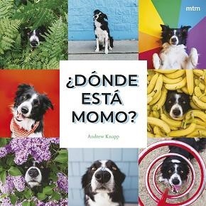 ¿DÓNDE ESTÁ MOMO? | 9788410407909 | KNAPP, ANDREW | Llibreria Aqualata | Comprar llibres en català i castellà online | Comprar llibres Igualada