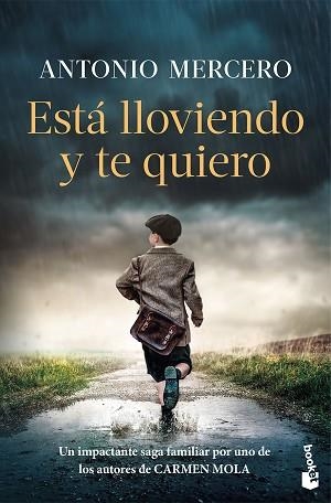 ESTÁ LLOVIENDO Y TE QUIERO | 9788408326724 | MERCERO, ANTONIO | Llibreria Aqualata | Comprar libros en catalán y castellano online | Comprar libros Igualada