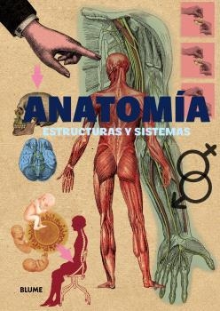 ANATOMÍA | 9791388023286 | VARIOS AUTORES | Llibreria Aqualata | Comprar llibres en català i castellà online | Comprar llibres Igualada