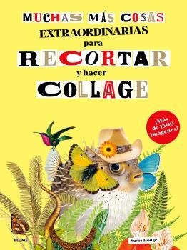 MUCHAS MÁS COSAS EXTRAORDINARIAS PARA RECORTAR Y HACER COLLAGE | 9791388023897 | HODGE, SUSIE | Llibreria Aqualata | Comprar libros en catalán y castellano online | Comprar libros Igualada