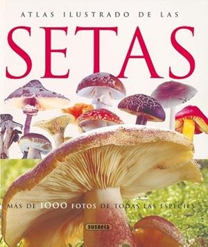 ATLAS ILUSTRADO DE LAS SETAS | 9788430547210 | Llibreria Aqualata | Comprar libros en catalán y castellano online | Comprar libros Igualada