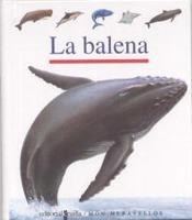 BALENA, LA (MON MERAVELLOS 43) | 9788482868264 | Llibreria Aqualata | Comprar libros en catalán y castellano online | Comprar libros Igualada