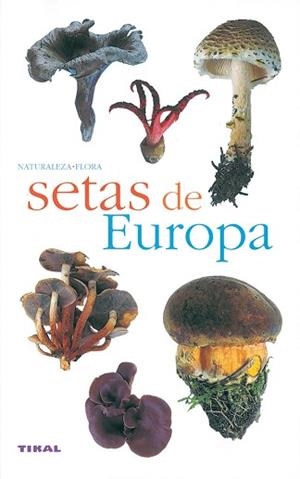 SETAS DE EUROPA (NATURALEZA, FLORA 1) | 9788430553358 | Llibreria Aqualata | Comprar libros en catalán y castellano online | Comprar libros Igualada