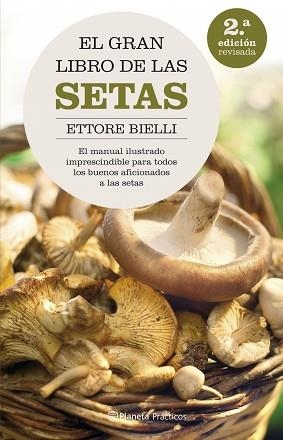 GRAN LIBRO DE LAS SETAS, EL | 9788408062615 | BIELLI, ETTORE | Llibreria Aqualata | Comprar libros en catalán y castellano online | Comprar libros Igualada
