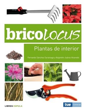 PLANTAS DE INTERIOR | 9788448047672 | SÁNCHEZ, FERNANDO / JUÁREZ, ALEJANDRO | Llibreria Aqualata | Comprar llibres en català i castellà online | Comprar llibres Igualada