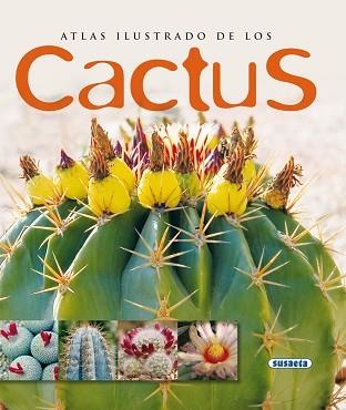 CACTUS (ATLAS ILUSTRADOS) | 9788430560530 | Llibreria Aqualata | Comprar llibres en català i castellà online | Comprar llibres Igualada