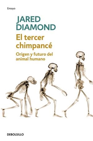 TERCER CHIMPANCE, EL (DEBOLSILLO 214) | 9788483467497 | DIAMOND, JARED | Llibreria Aqualata | Comprar libros en catalán y castellano online | Comprar libros Igualada