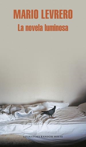 NOVELA LUMINOSA, LA | 9788439721390 | LEVRERO, MARIO | Llibreria Aqualata | Comprar llibres en català i castellà online | Comprar llibres Igualada