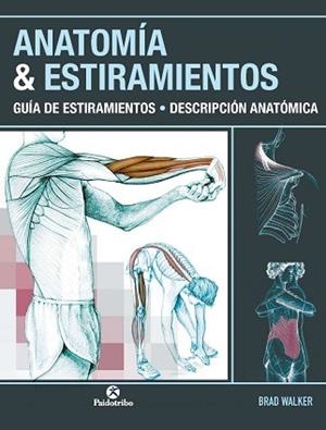 ANATOMIA & ESTIRAMIENTOS | 9788499100012 | WALKER, BRAD | Llibreria Aqualata | Comprar libros en catalán y castellano online | Comprar libros Igualada