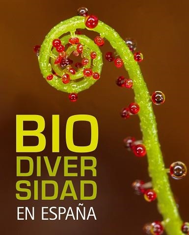 BIODERSIDAD EN ESPAÑA | 9788497856317 | AA. VV. | Llibreria Aqualata | Comprar libros en catalán y castellano online | Comprar libros Igualada
